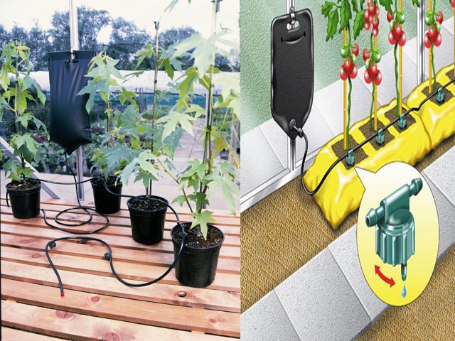 INSTANT DRIP WATERING GRAVITY FED IRRIGATION PLANTS GREENHOUSE SYSTEM