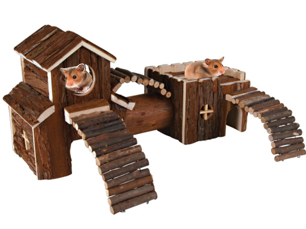 wooden hamster toys