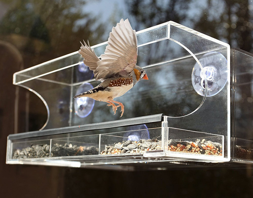 3 Compartment Glass Window Clear Viewing Bird Feeder Table Seed