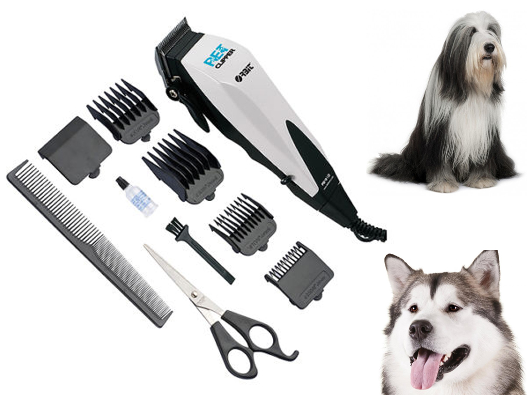 professional dog grooming kit uk